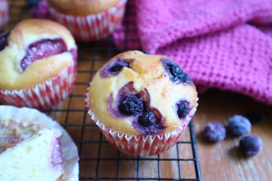 lemon and blueberry muffins