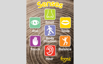 Activity 11: Senses